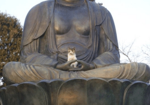 奇葩买家秀|收到掌柜发给你删图的钱了吗?