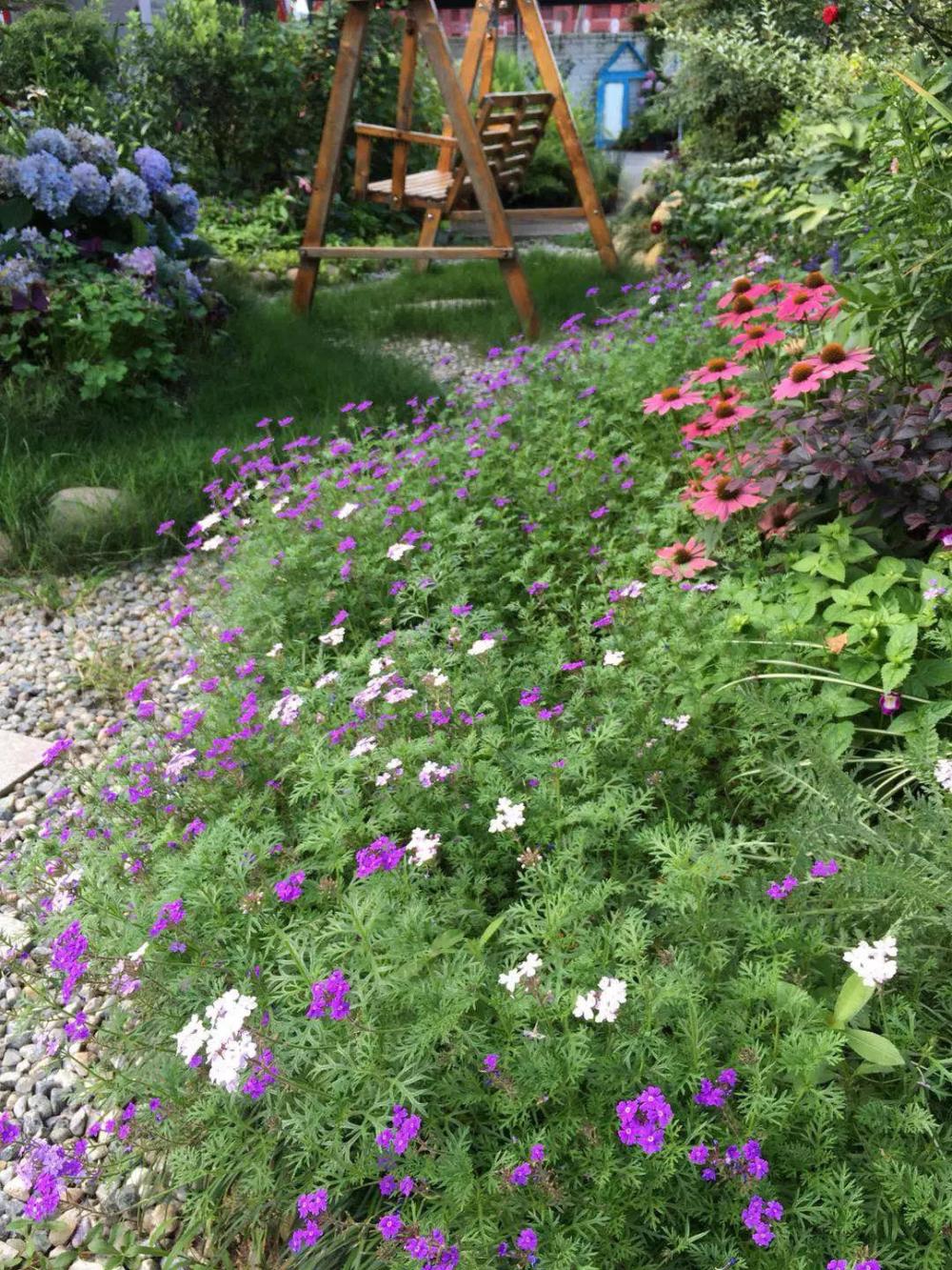 白领妈妈放弃高薪, 回农村造花园, 全村人都看傻了!