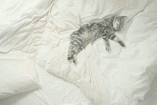 不要期望这十句话, 因为你成熟了!