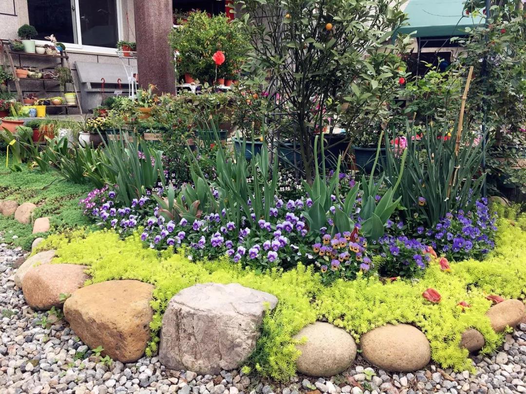 白领妈妈放弃高薪, 回农村造花园, 全村人都看傻了!