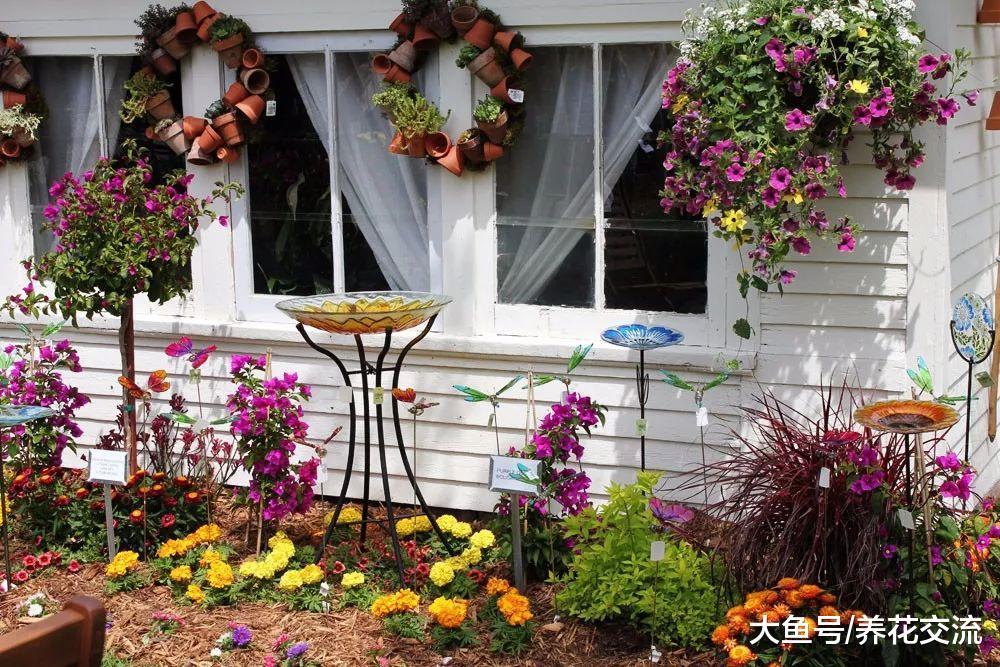 红陶盆用来养花都觉得浪费, 8个花盆园艺创意