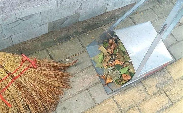 城里人就用这种土, 啥花都能养得好, 简单实用不花钱!