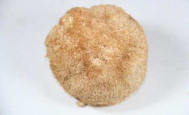 胃不好的人, 经常用4种“中草药”泡水喝, 胃不疼了, 身体更好了!