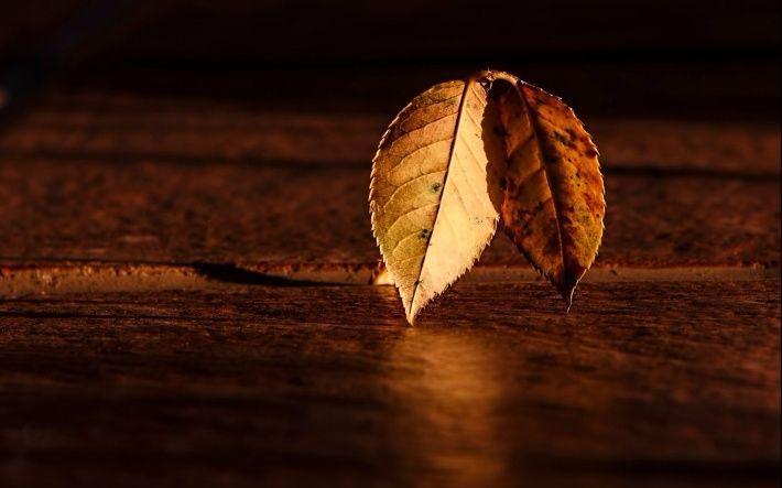 你能看懂这十句话, 本身就是一种强大