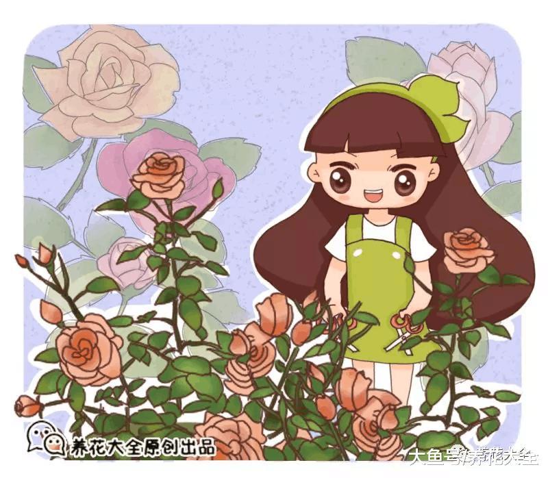 花谢后这么做, 3天窜出8个芽, 20天就爆盆!