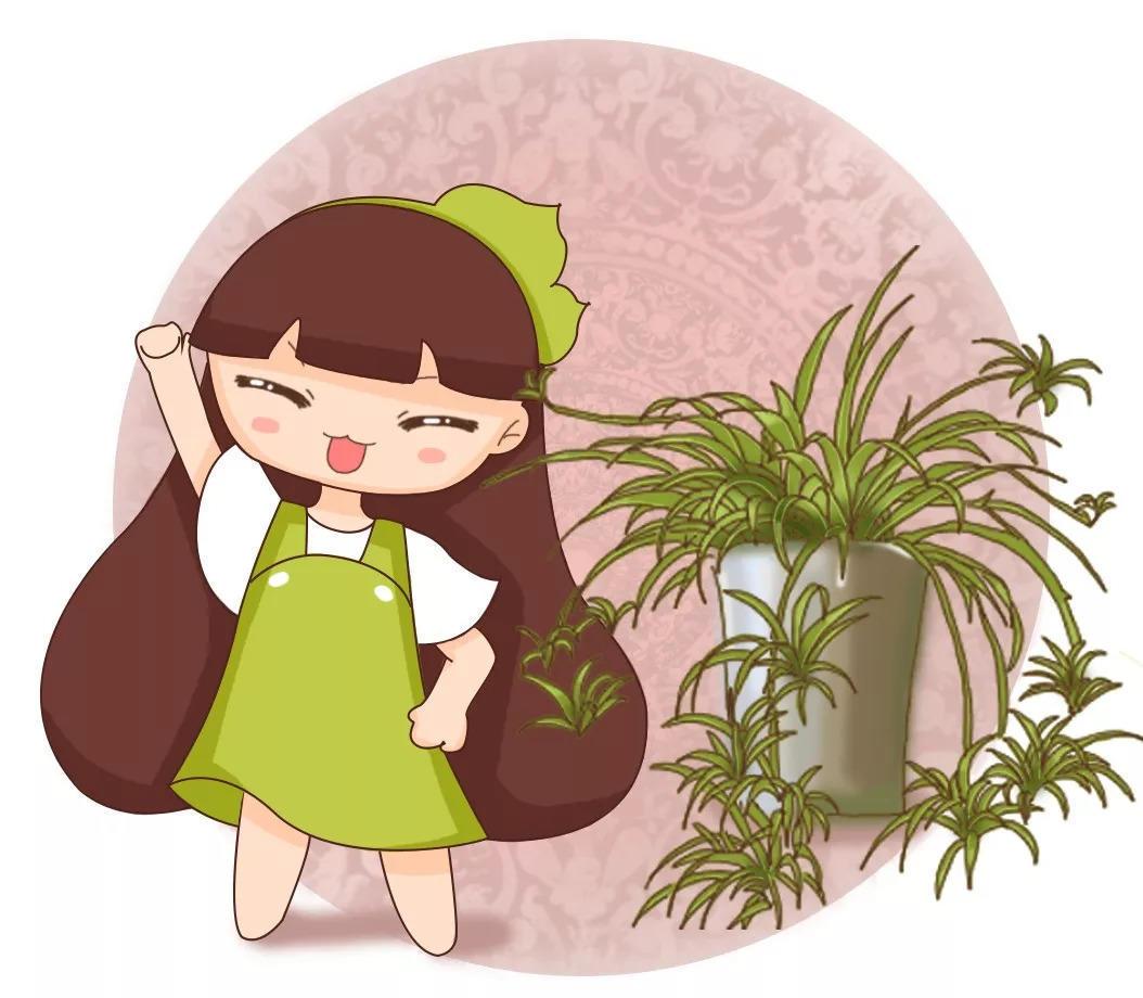 奶奶用鸡蛋养吊兰, 连抽60个芽, 长满萝卜根!