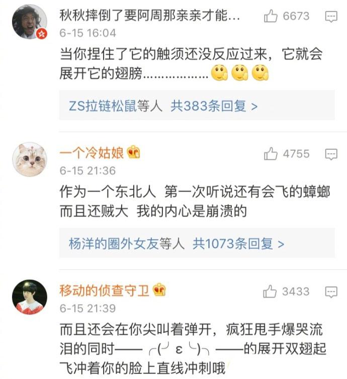 作为一个南方人应该知道的事情