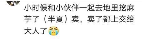小时候通过哪些途径挣到了零花钱? 网友: 有没有捅马蜂窝的