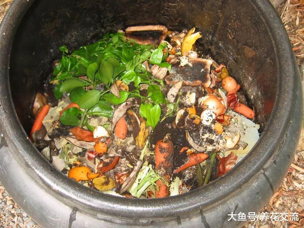 得到完美堆肥的七个秘诀, 在院子用生活废料就能制作出肥土