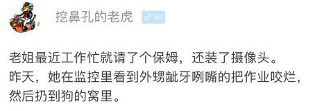 狗狗：这个锅我不背...不背.