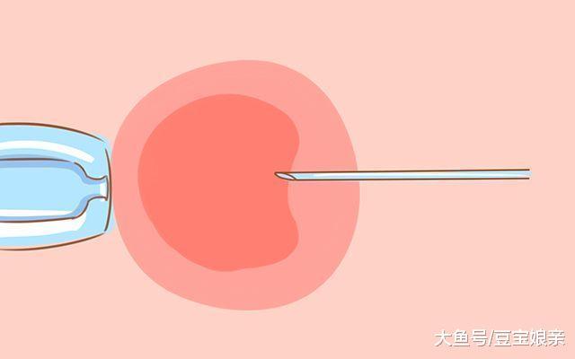 试管婴儿寿命太短? 宝妈别害怕, 孩子的健康只和这些有关