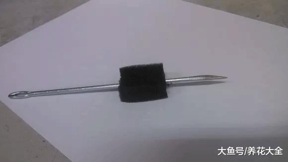 海绵纸巾扦插法, 根长得飞快, 成活率超高!