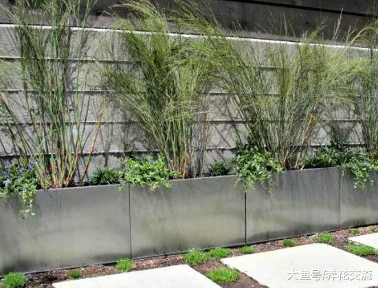9个用捡来的废弃铁容器制作的植物景观, 变成家里独特的盆栽