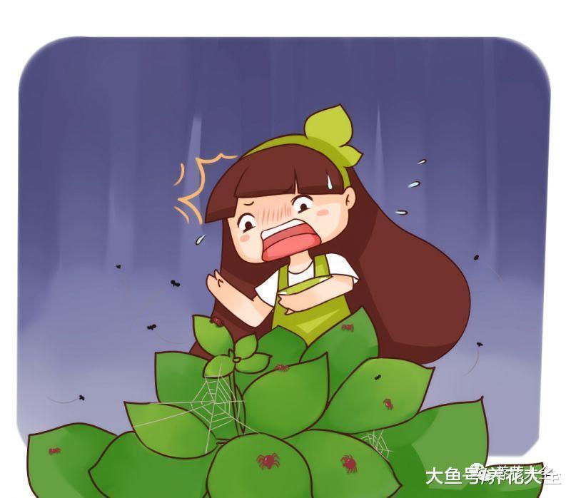 给花套上它, 再用水一冲, 虫子全都不见了!