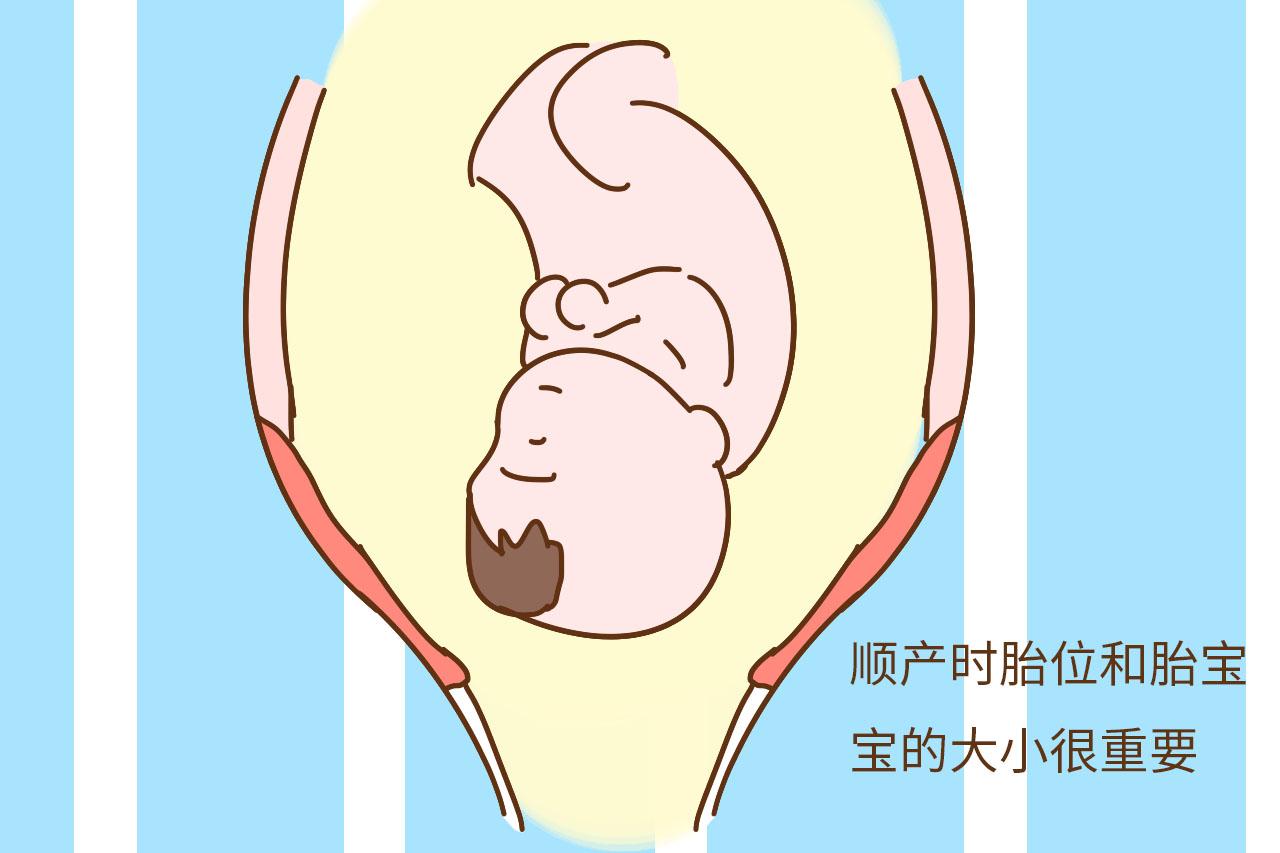 分娩痛堪比断20根肋骨, 生孩子前学习这些诀窍, 孕妈少受罪
