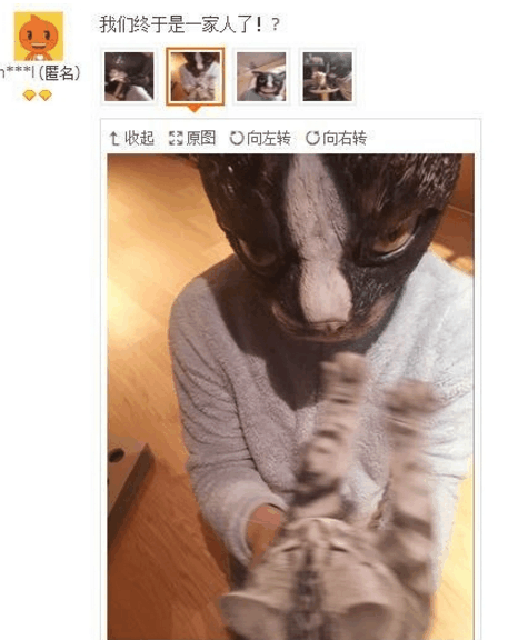 奇葩买家秀|一个袖套买家秀也是够拼的