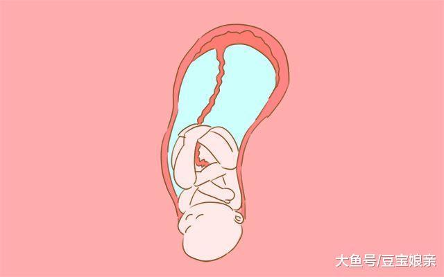 爸爸来感受分娩痛, 是这样的画风