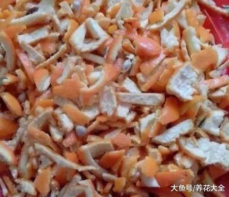 盆里加点它, 花像吃了激素, 蹭蹭狂长爆盆!