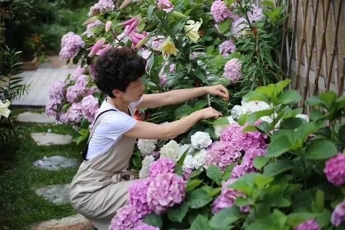 爱养花的女人, 生活充满惊喜, 家里处处都精致!