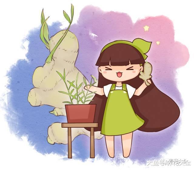买回的生姜这样一处理, 一小块长一盆, 多到吃不完!