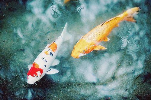 感谢自己, 看到了这十句话!