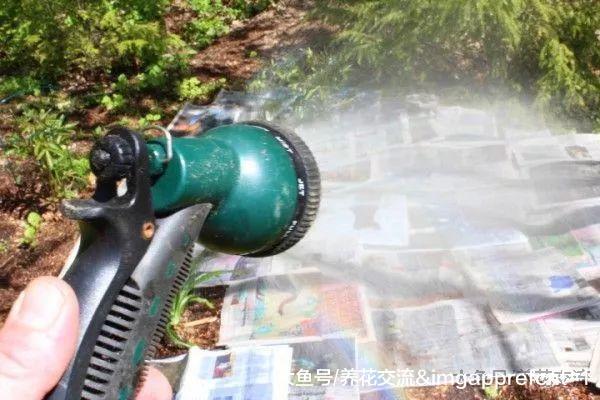 废弃的旧报纸铺在土面上有这么多好处, 让土壤肥沃、没杂草
