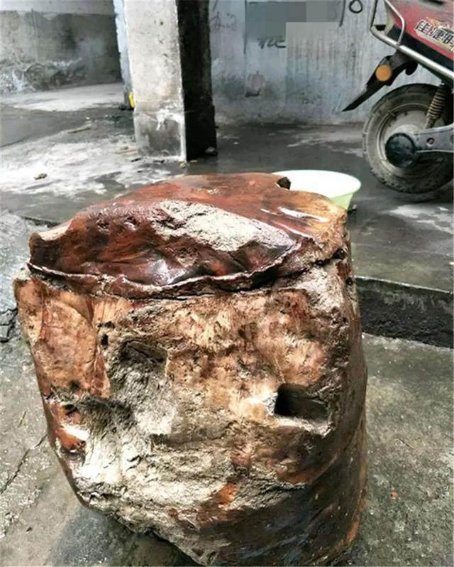 男子去山上砍柴, 被一块像肉的石头绊倒, 搬回家后村民羡慕不已