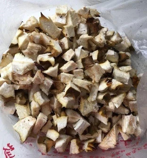 给花吃点榴莲皮, 1根枝冒40朵花, 越臭越好用!
