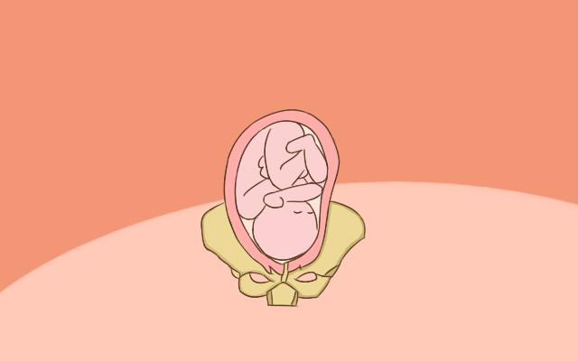 宝宝出生时的体重这个数最好, 你家宝宝出生时多重?