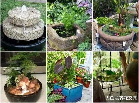 这些迷你的水池花园用花盆或水缸都可以制作, 摆放在院子格外清新