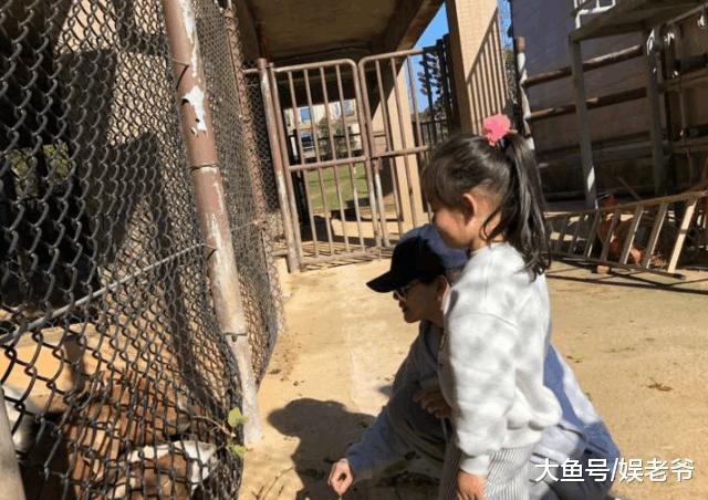 汪小菲“女儿奴”人设是真是假? 大s冒生命危险产子竟不得宠爱?