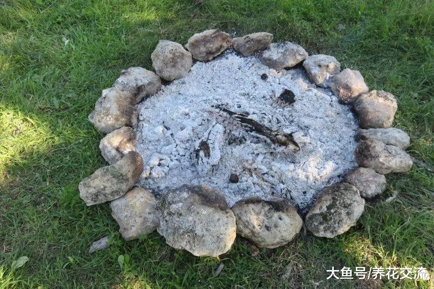 这5种生活常见的生活废料, 没想到都是养花的好肥料, 不要浪费了