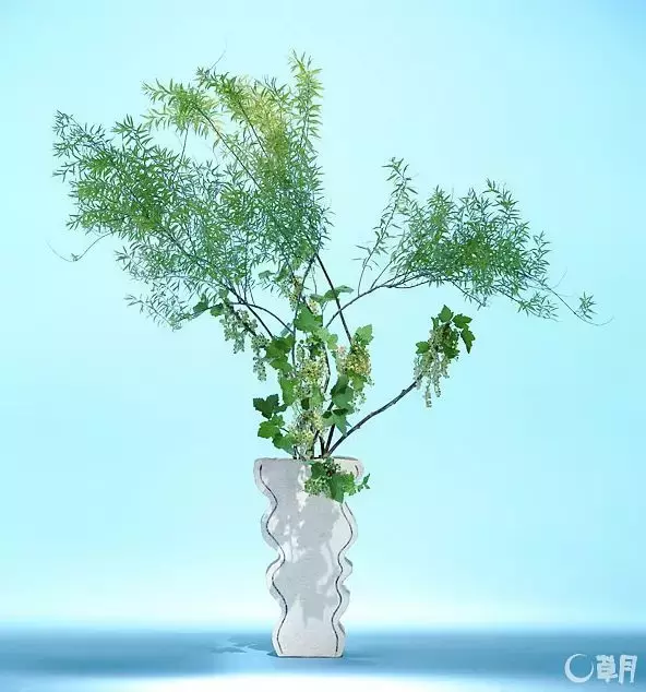 日本顶级花道 3分钟轻松学到手 生活资讯 八戒游戏