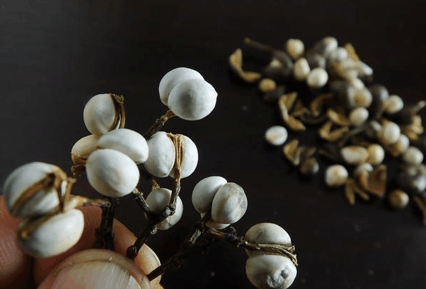 总是在半夜这2个时间段醒来, 提醒你肝可能出问题了, 需要养肝了