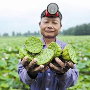 女人常吃这些天然“雌激素”食物, 改善月经不调, 让你50岁不显老