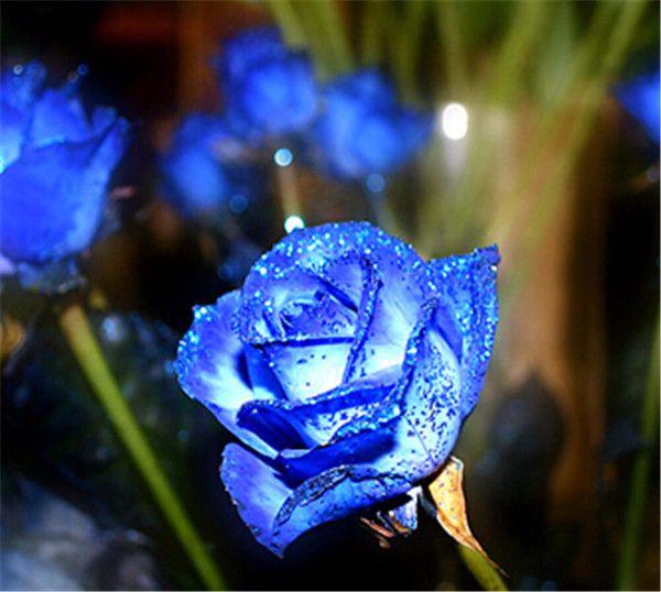 收藏这十句话, 给自己提个醒