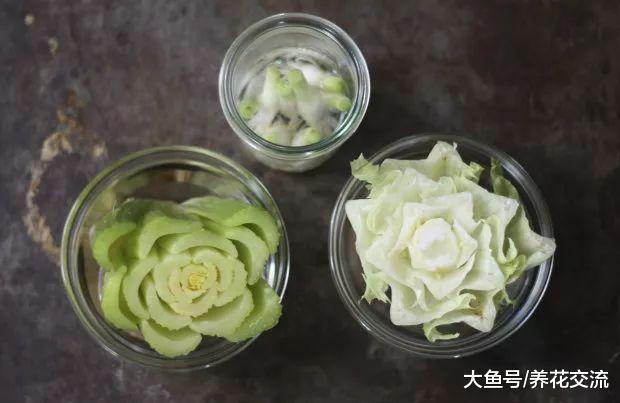 厨房用剩的大葱、生菜和芹菜头不要扔了, 它们还能养成窗台盆栽