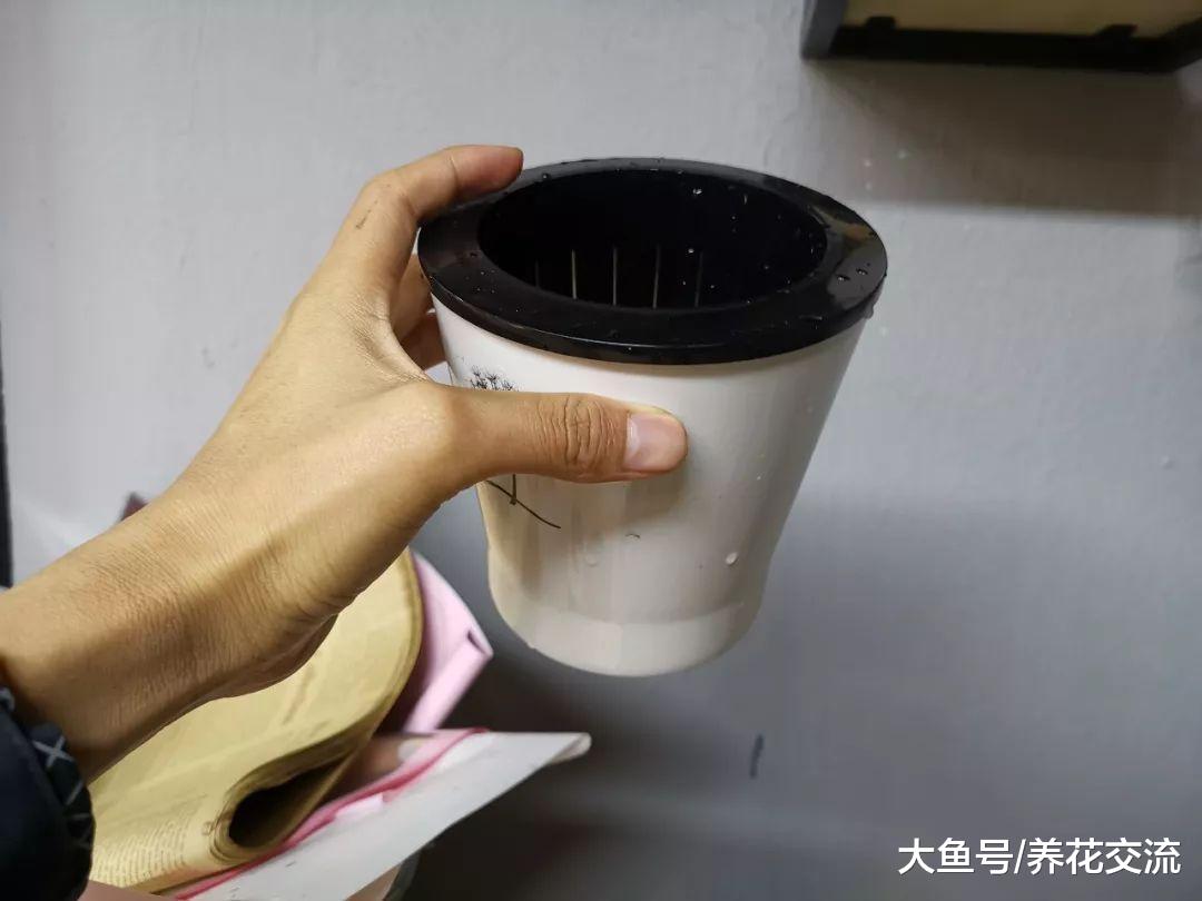 用懒人花盆养花没有掌握关键几个技巧, 难怪植物几天就烂根烂茎