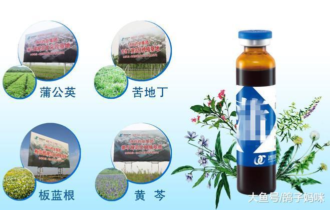 客观看待蒲地蓝, 只有特效药, 没有万能药!