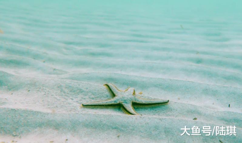 上海“第一女网红”坠楼: 为了那种男人, 为什么我的人生都要赔上呢?