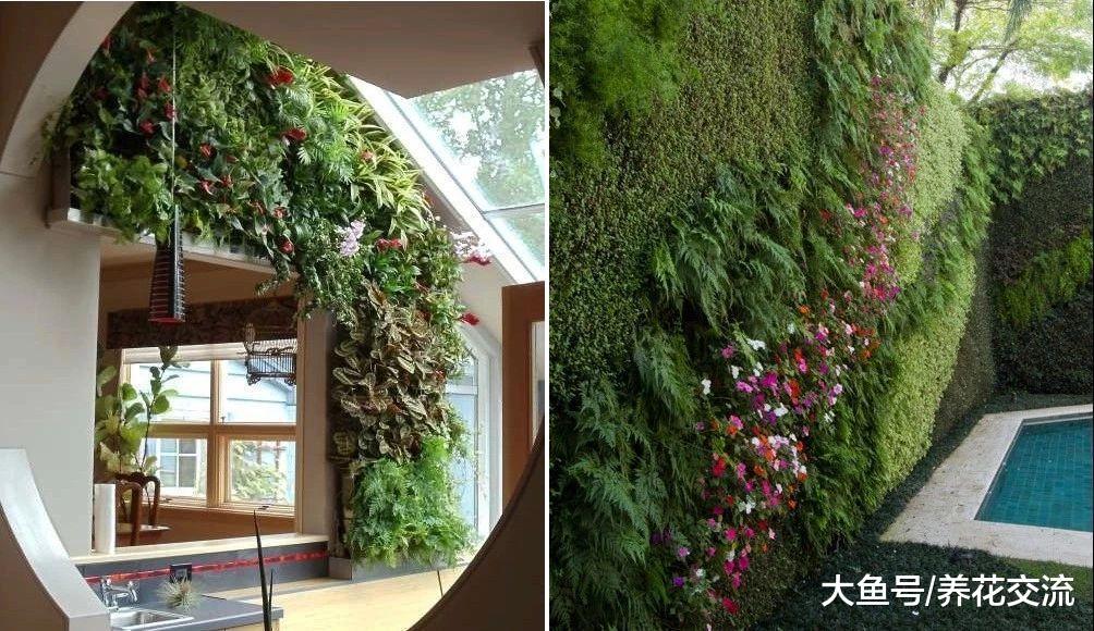 花费最少的钱来打造一个植物墙, 你需要准备这些东西