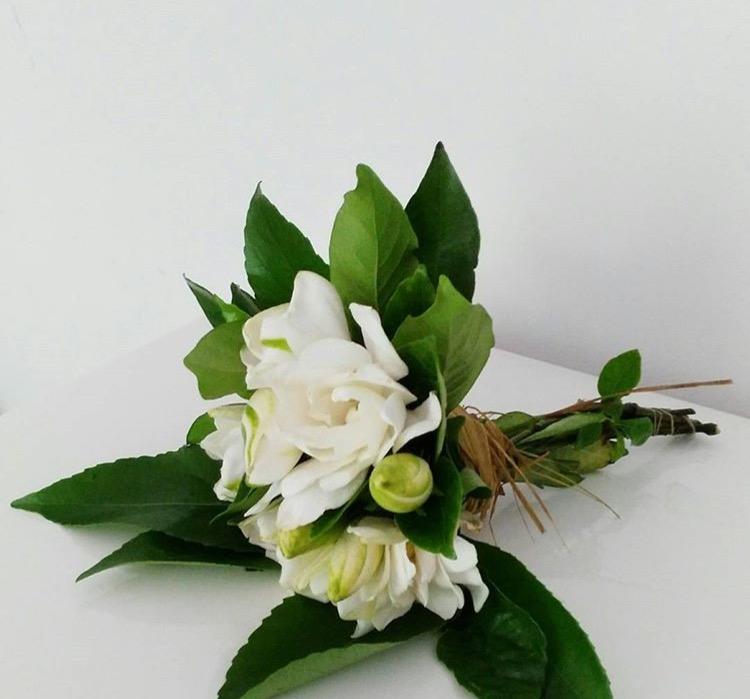 快住手! 这么养栀子花? 永远都是黄叶、不开花。 5个养护要点请记住。