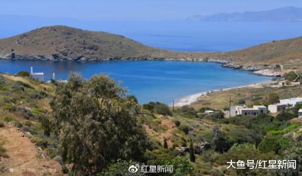 希腊这份“铲屎官”招聘火了: 做一名眺望爱琴海的幸福猫奴
