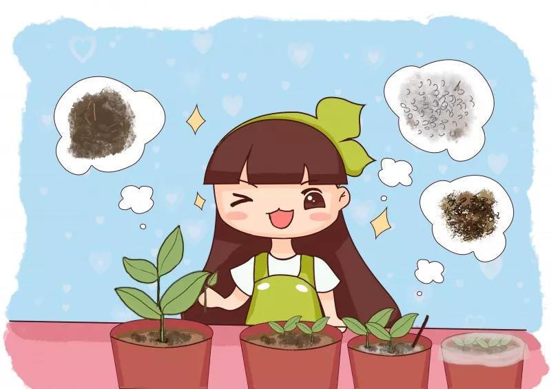 这4种花, 现在扦插生根快, 错过还要再等一年!