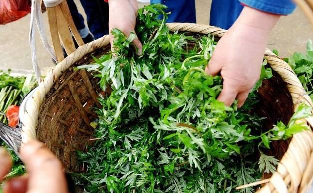 夏天湿气重! 睡前用这种“野草”泡脚, 去湿气减体重, 皮肤变光滑