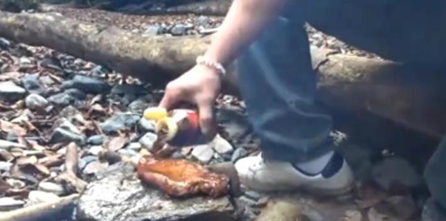 男子小河边烤肉, 这样烤肉还是第一次见!
