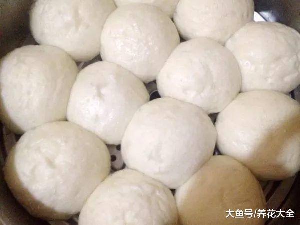 1毛钱小苏打丢水池, 臭味跑光光, 脏东西全没了!