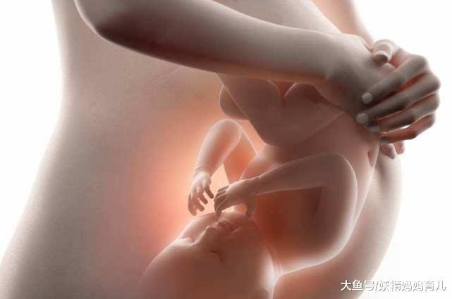 怀孕冷知识, 胎儿就有的9大学习能力, 你信哪一个