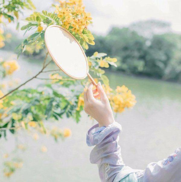 能看懂这句话, 真的只有真才吗