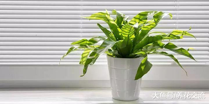 让家里空气变得非常差的几个主要原因, 你猜到了没?